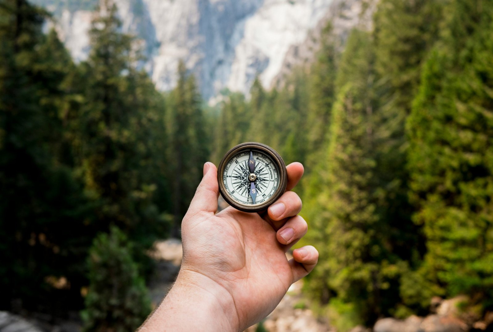 A hand holding a compass in a forest, representing confirming your team's real dynasty timeline before targeting trades